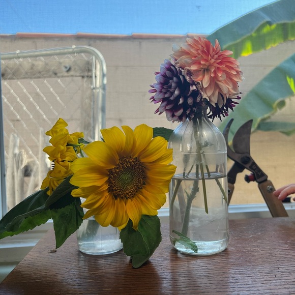 Meet Chris - Picture 3 of 5